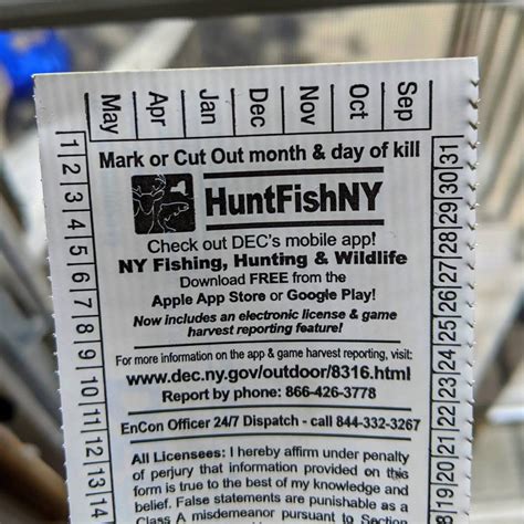 ny fish and game license.